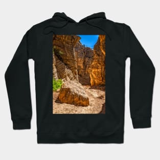 Lick Wash Trail Hike Hoodie